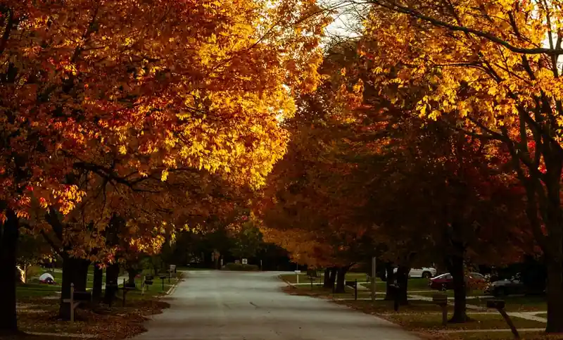 Tree lined autumn street in a Scarsdale NY 10583 neighborhood